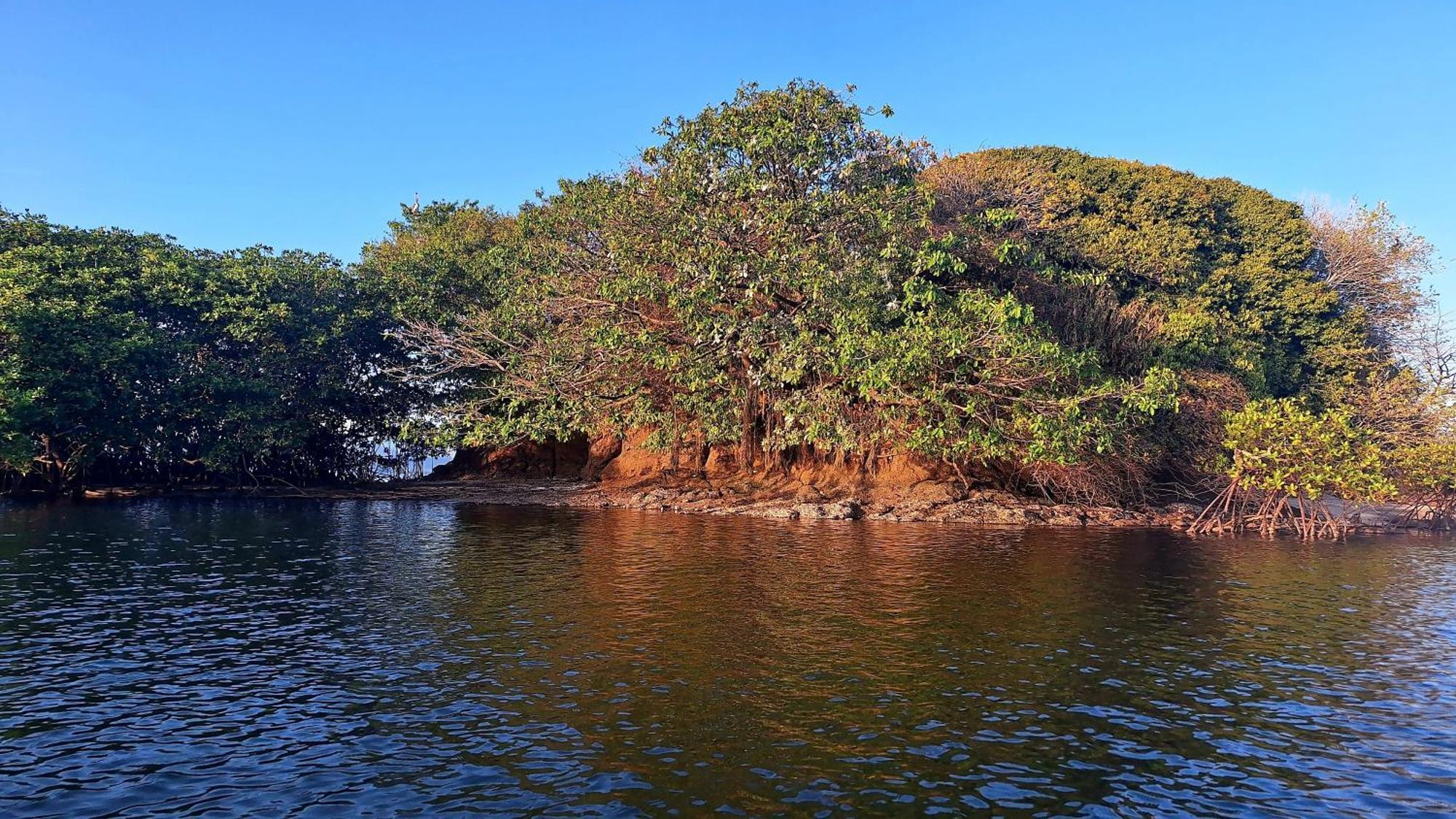 Boca Chica Bay Eco Lodge Exterior photo